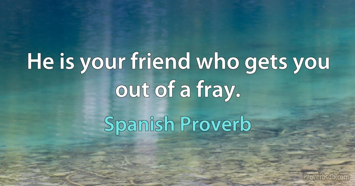 He is your friend who gets you out of a fray. (Spanish Proverb)