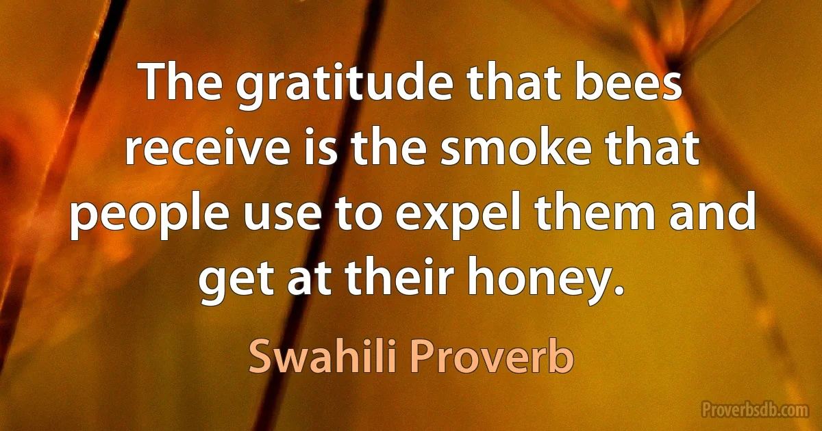 The gratitude that bees receive is the smoke that people use to expel them and get at their honey. (Swahili Proverb)