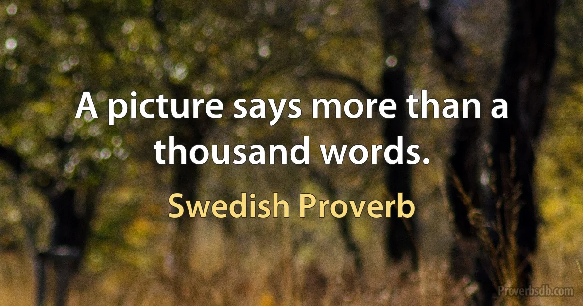 A picture says more than a thousand words. (Swedish Proverb)