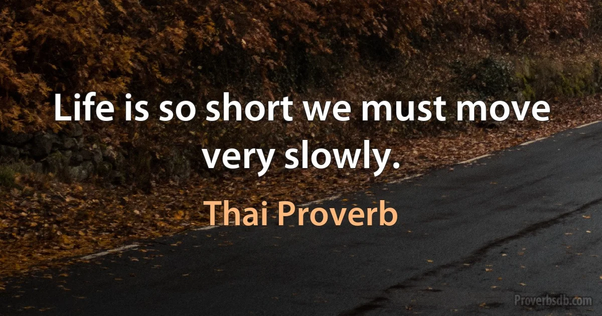 Life is so short we must move very slowly. (Thai Proverb)