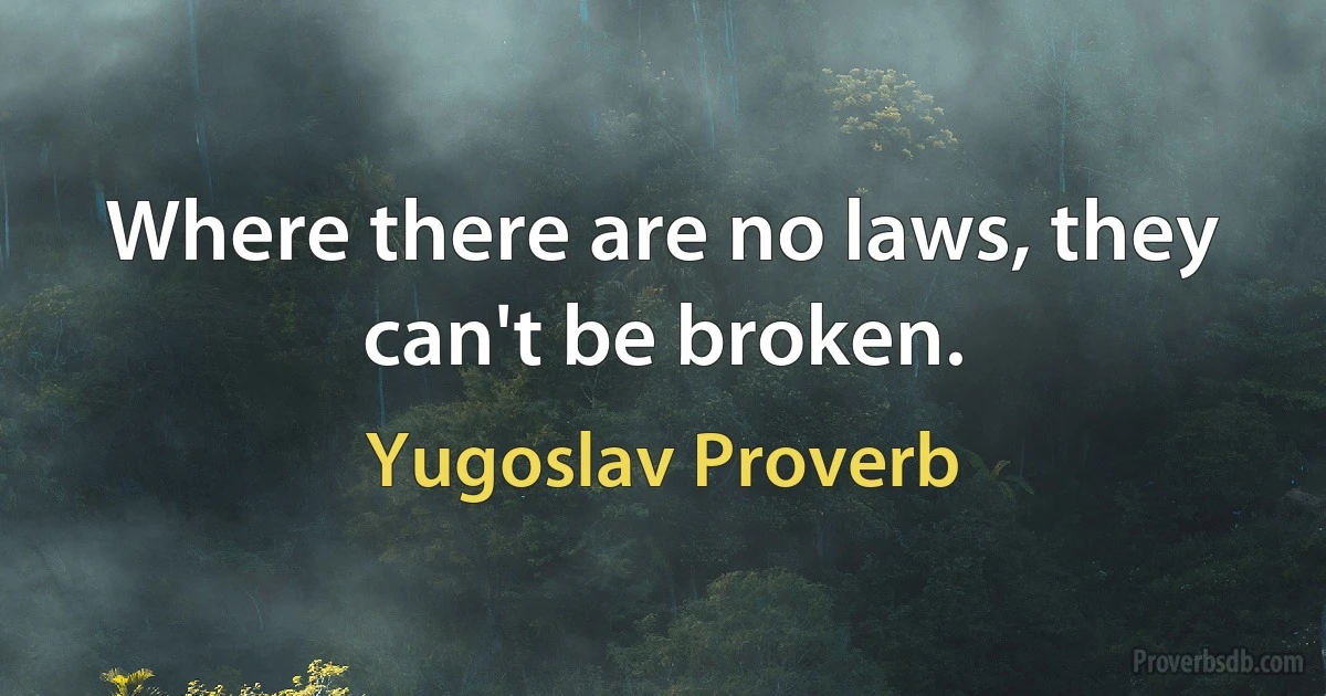 Where there are no laws, they can't be broken. (Yugoslav Proverb)