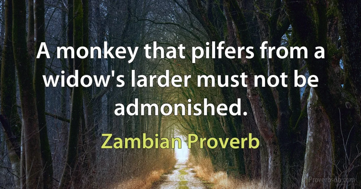 A monkey that pilfers from a widow's larder must not be admonished. (Zambian Proverb)