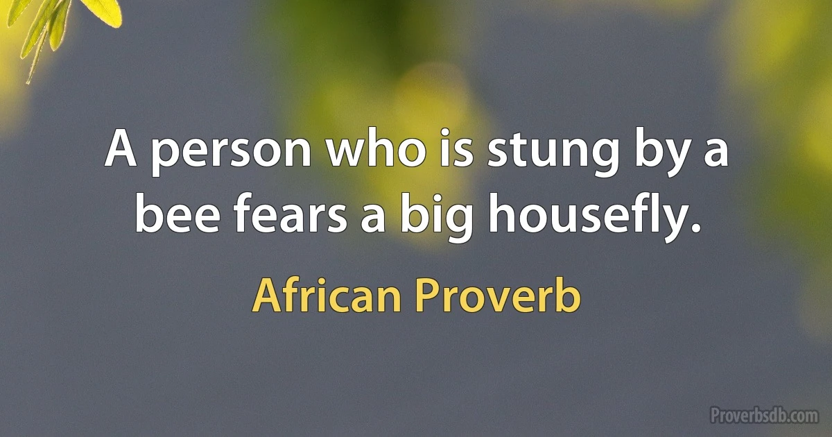 A person who is stung by a bee fears a big housefly. (African Proverb)