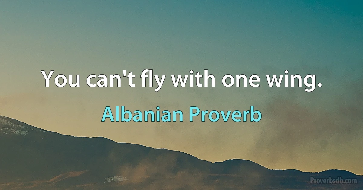 You can't fly with one wing. (Albanian Proverb)