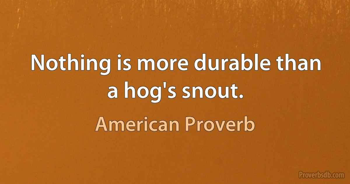 Nothing is more durable than a hog's snout. (American Proverb)