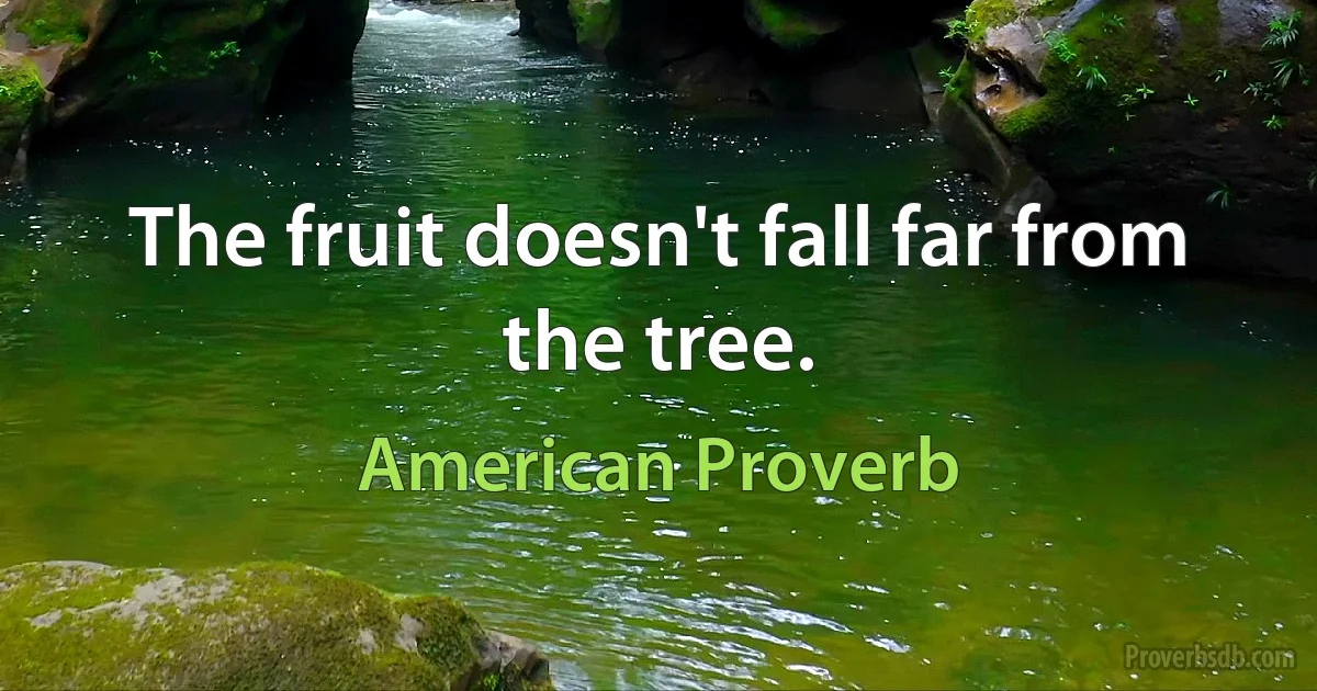 The fruit doesn't fall far from the tree. (American Proverb)