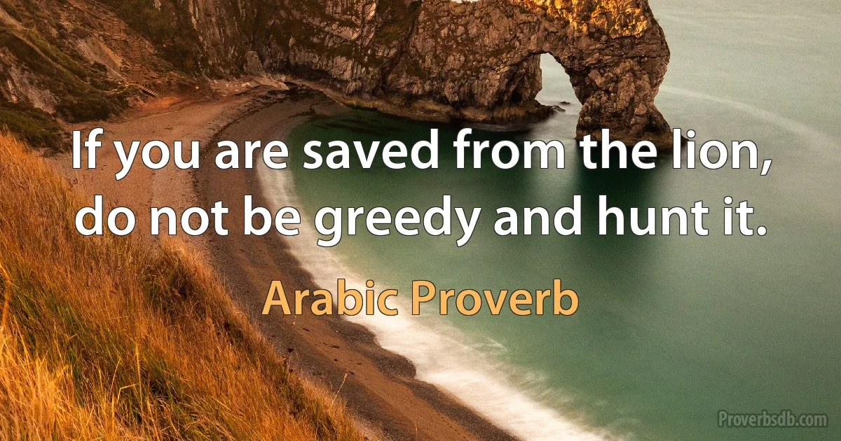 If you are saved from the lion, do not be greedy and hunt it. (Arabic Proverb)