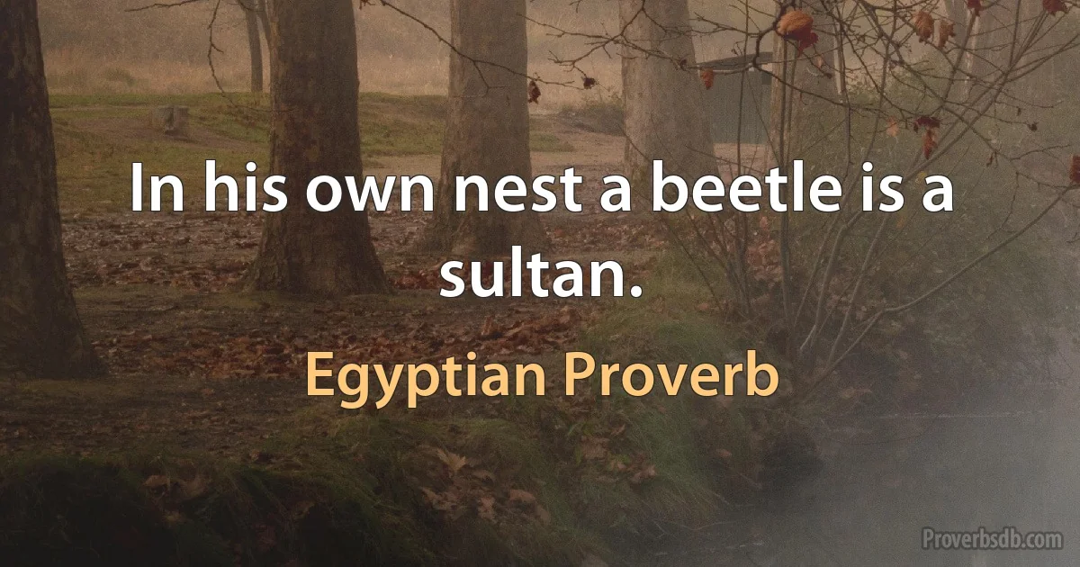 In his own nest a beetle is a sultan. (Egyptian Proverb)