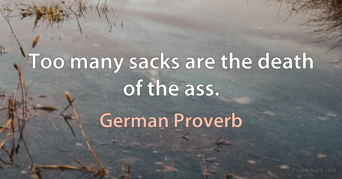 Too many sacks are the death of the ass. (German Proverb)