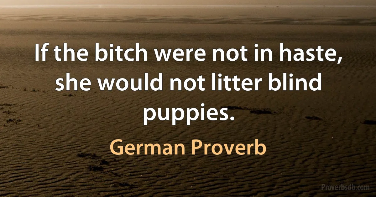 If the bitch were not in haste, she would not litter blind puppies. (German Proverb)