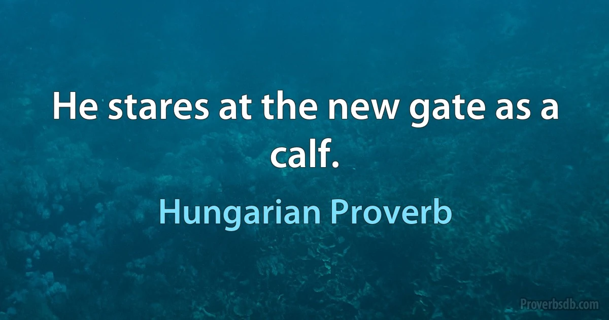 He stares at the new gate as a calf. (Hungarian Proverb)