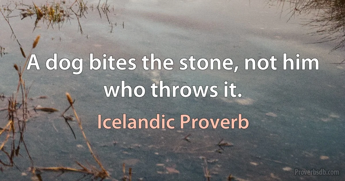 A dog bites the stone, not him who throws it. (Icelandic Proverb)