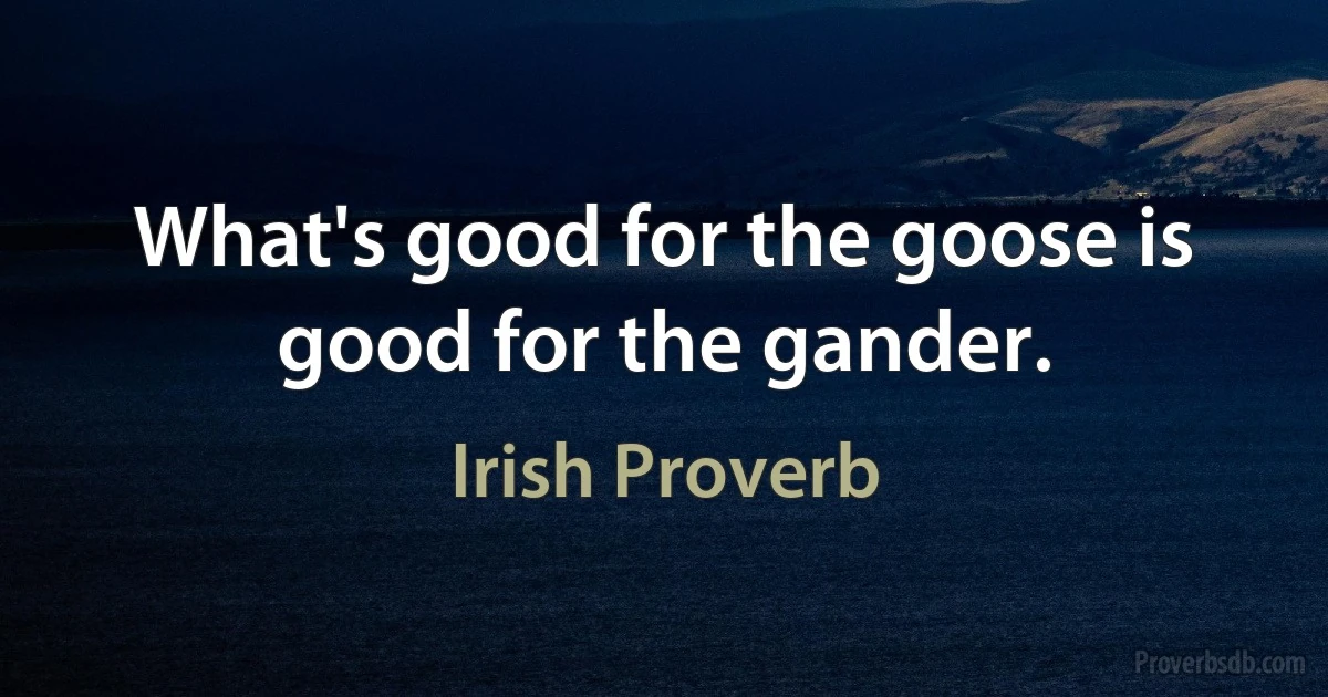 What's good for the goose is good for the gander. (Irish Proverb)