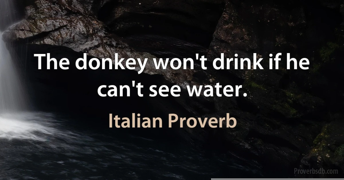 The donkey won't drink if he can't see water. (Italian Proverb)