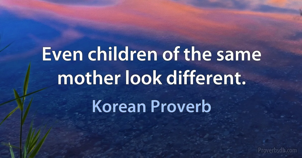 Even children of the same mother look different. (Korean Proverb)