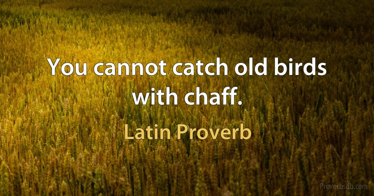 You cannot catch old birds with chaff. (Latin Proverb)