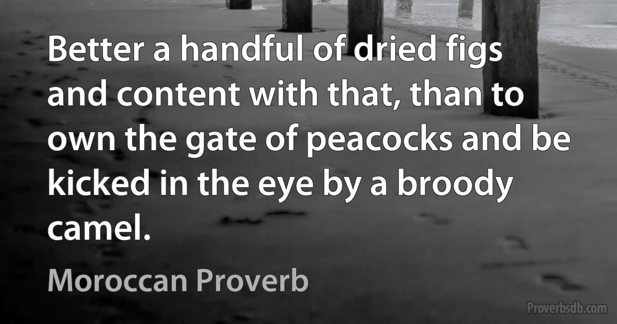 Better a handful of dried figs and content with that, than to own the gate of peacocks and be kicked in the eye by a broody camel. (Moroccan Proverb)