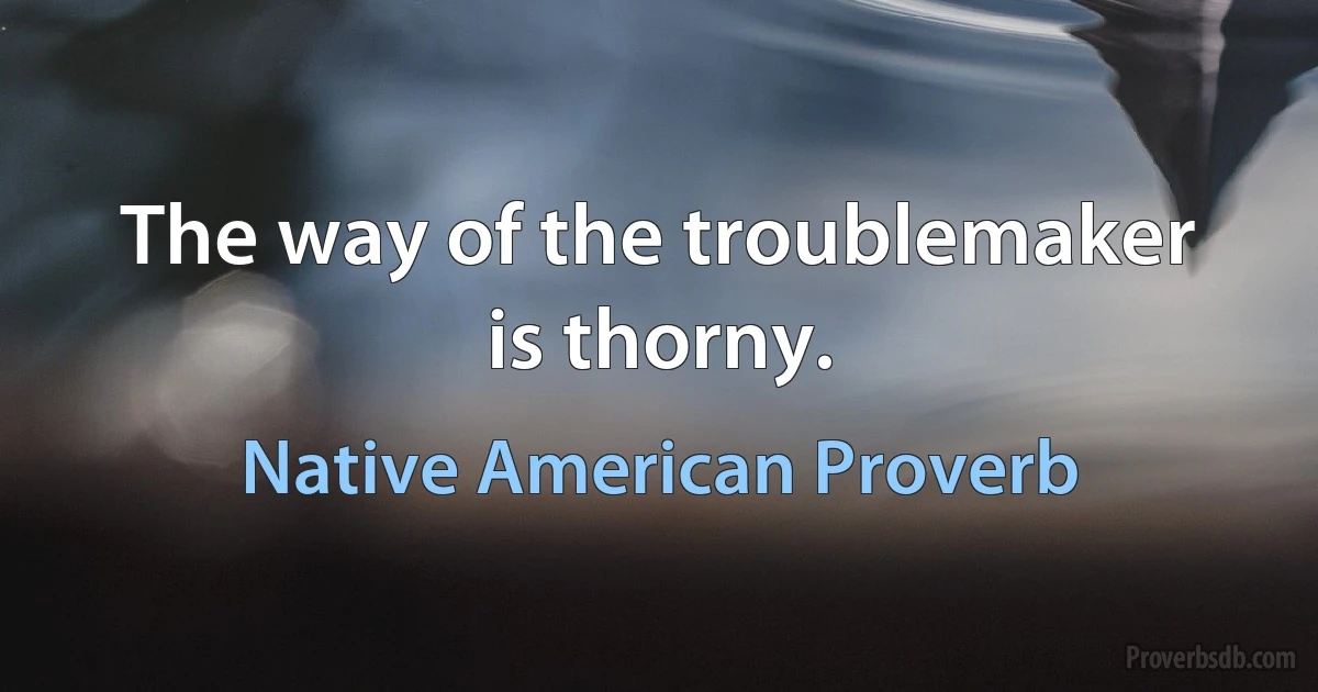 The way of the troublemaker is thorny. (Native American Proverb)