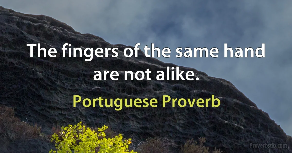 The fingers of the same hand are not alike. (Portuguese Proverb)