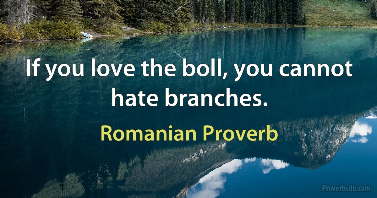 If you love the boll, you cannot hate branches. (Romanian Proverb)