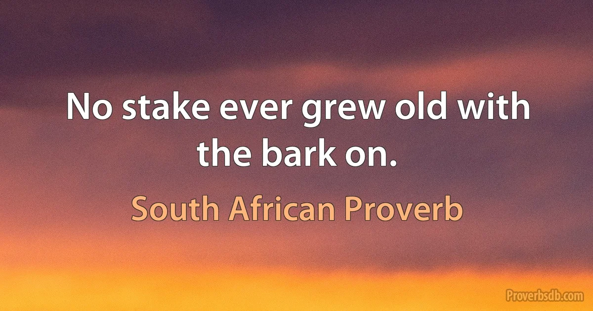 No stake ever grew old with the bark on. (South African Proverb)