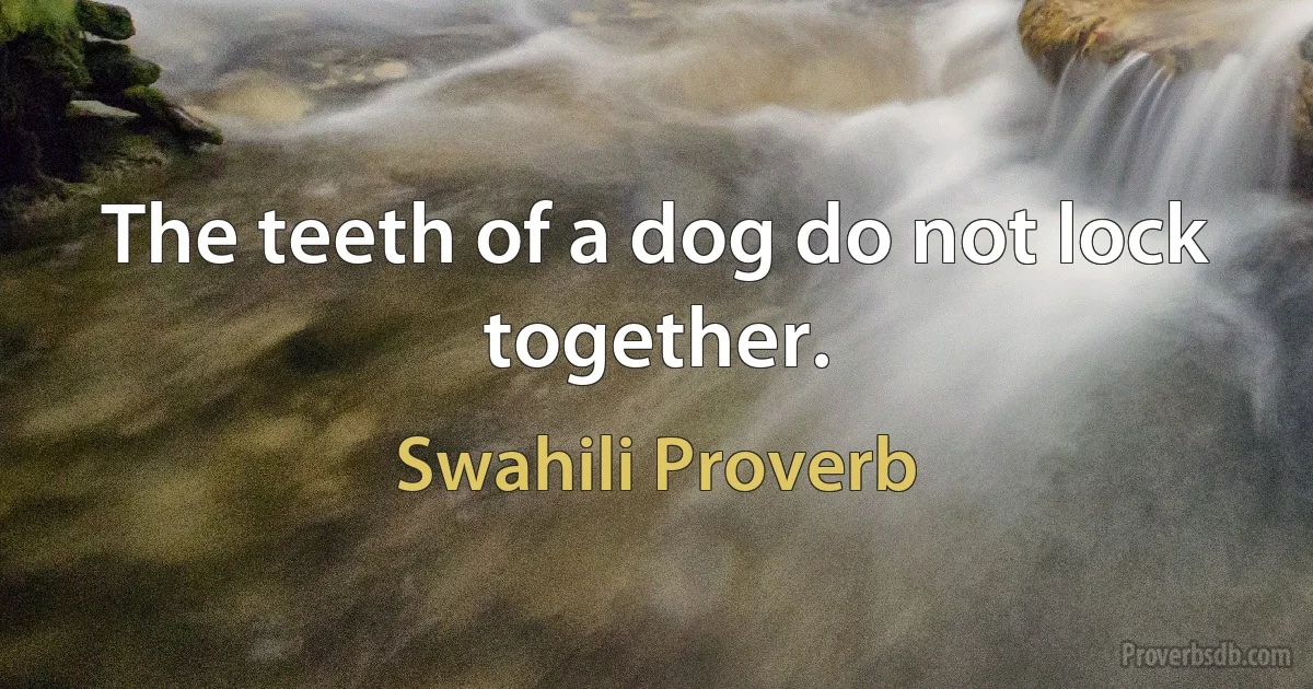 The teeth of a dog do not lock together. (Swahili Proverb)