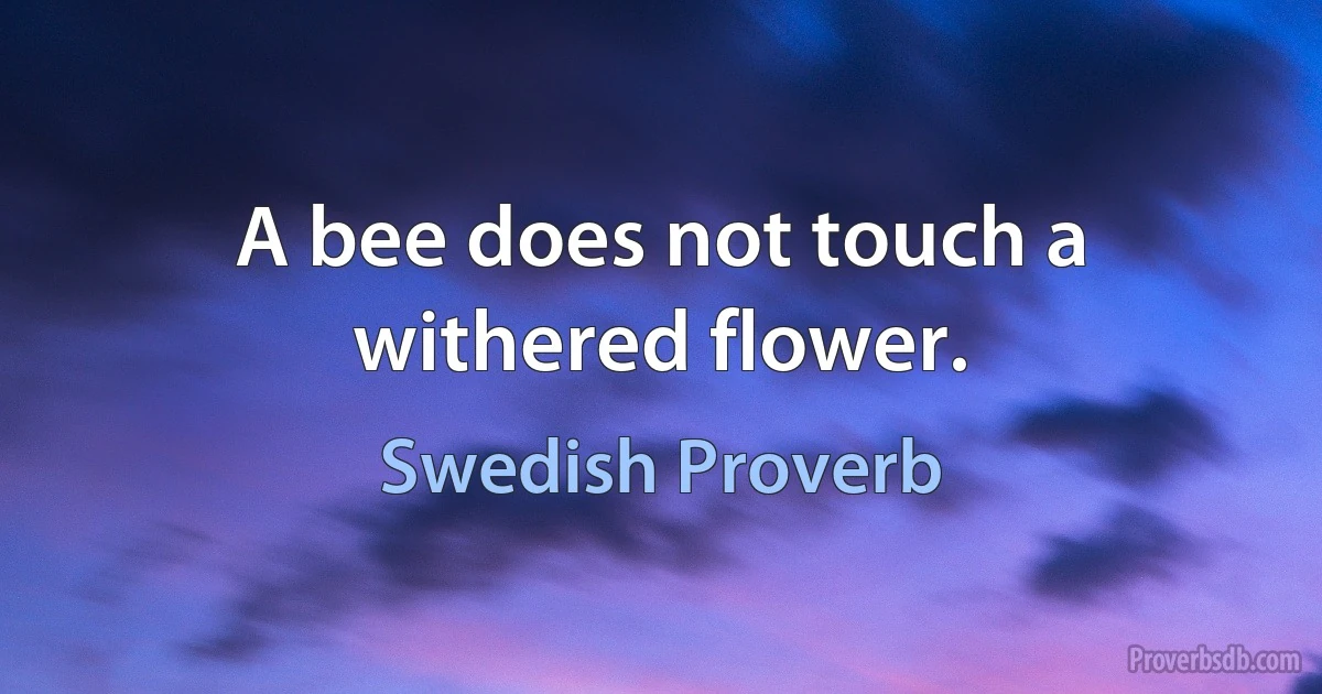 A bee does not touch a withered flower. (Swedish Proverb)