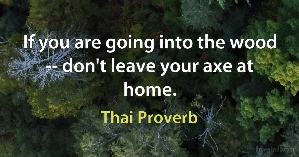 If you are going into the wood -- don't leave your axe at home. (Thai Proverb)