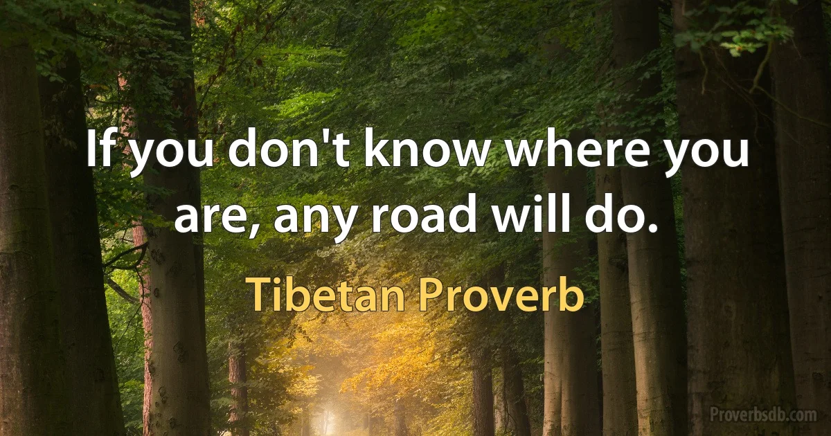 If you don't know where you are, any road will do. (Tibetan Proverb)