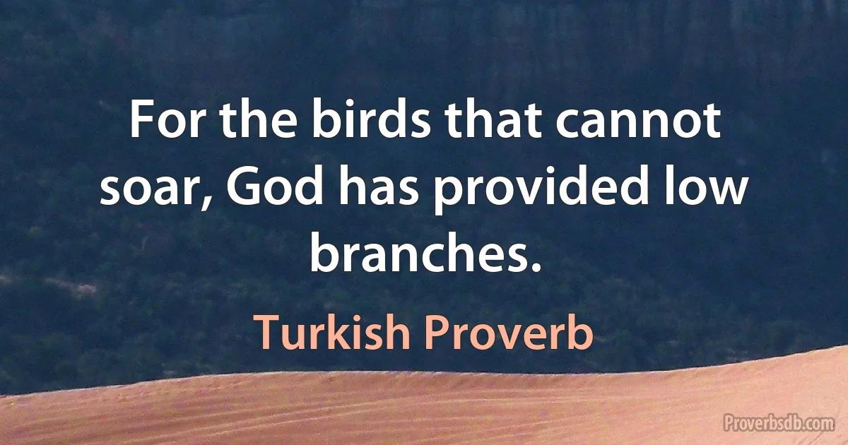 For the birds that cannot soar, God has provided low branches. (Turkish Proverb)