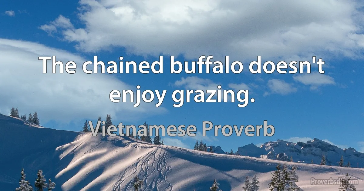 The chained buffalo doesn't enjoy grazing. (Vietnamese Proverb)