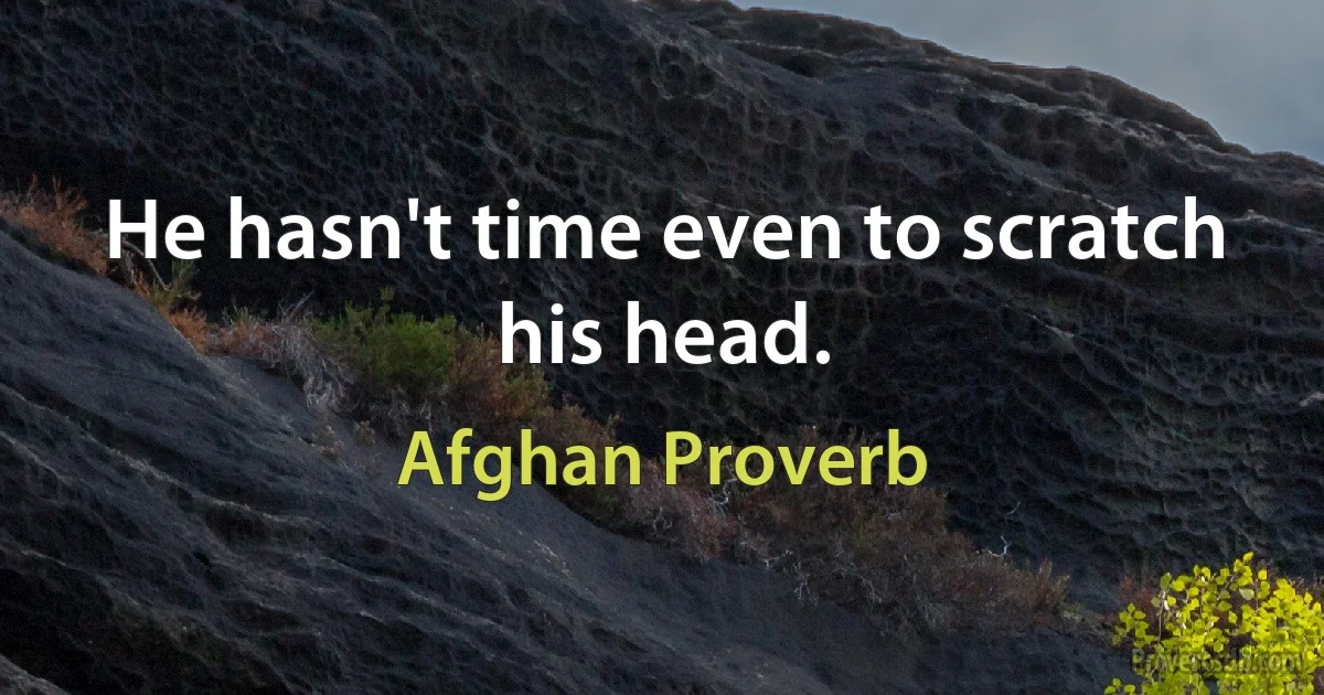 He hasn't time even to scratch his head. (Afghan Proverb)