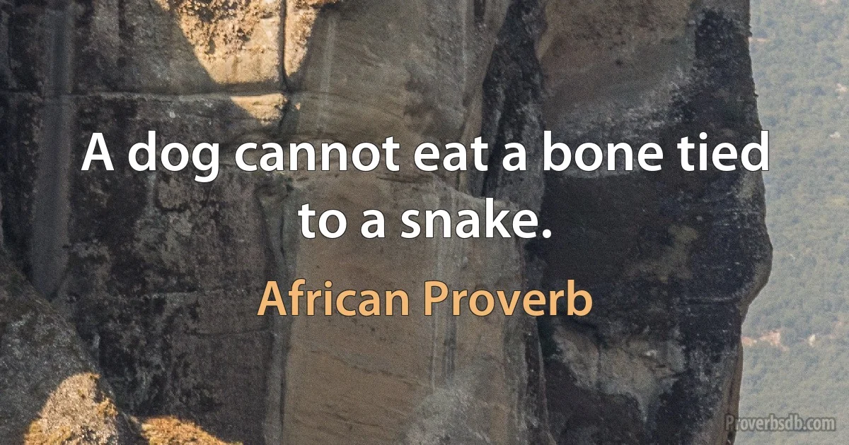 A dog cannot eat a bone tied to a snake. (African Proverb)