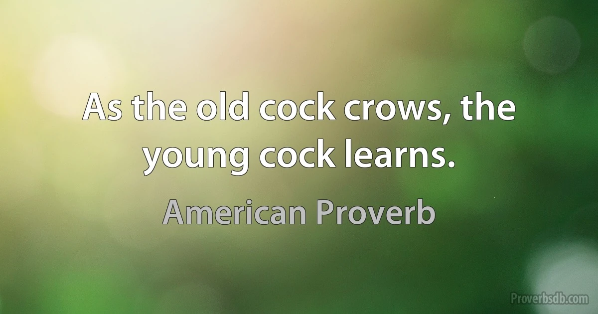 As the old cock crows, the young cock learns. (American Proverb)