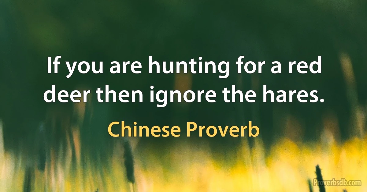 If you are hunting for a red deer then ignore the hares. (Chinese Proverb)