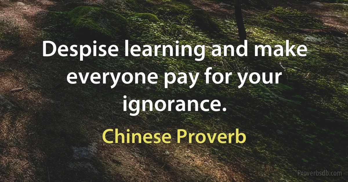 Despise learning and make everyone pay for your ignorance. (Chinese Proverb)