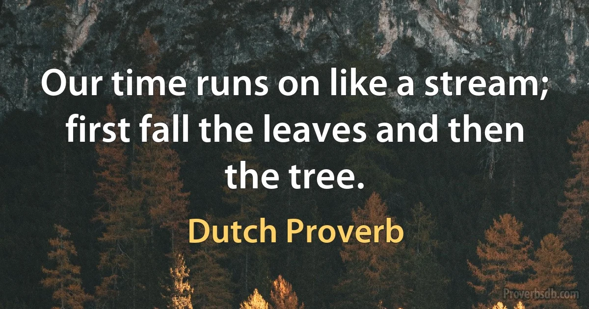 Our time runs on like a stream; first fall the leaves and then the tree. (Dutch Proverb)