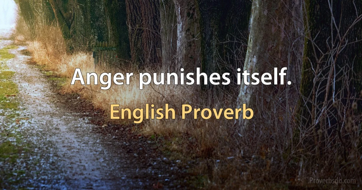 Anger punishes itself. (English Proverb)