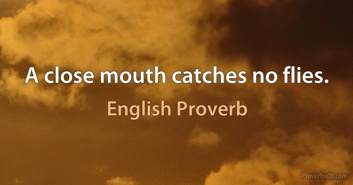 A close mouth catches no flies. (English Proverb)