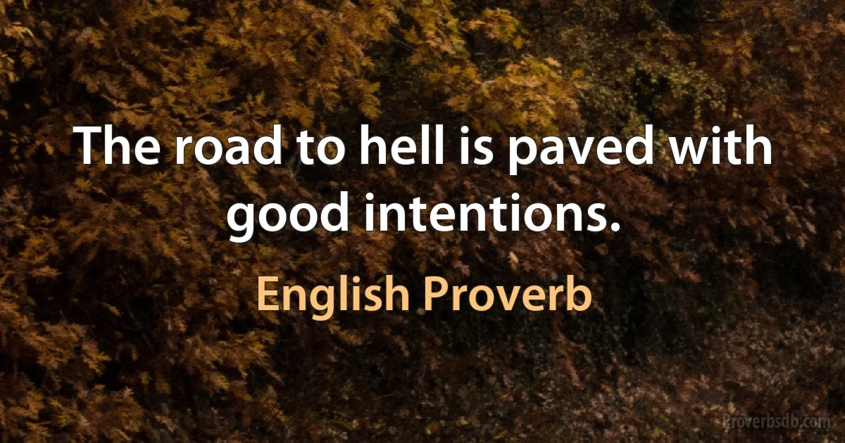 The road to hell is paved with good intentions. (English Proverb)