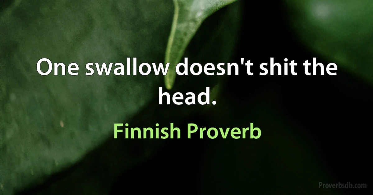 One swallow doesn't shit the head. (Finnish Proverb)