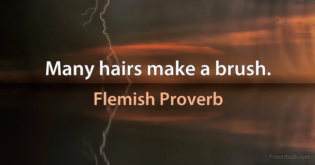 Many hairs make a brush. (Flemish Proverb)