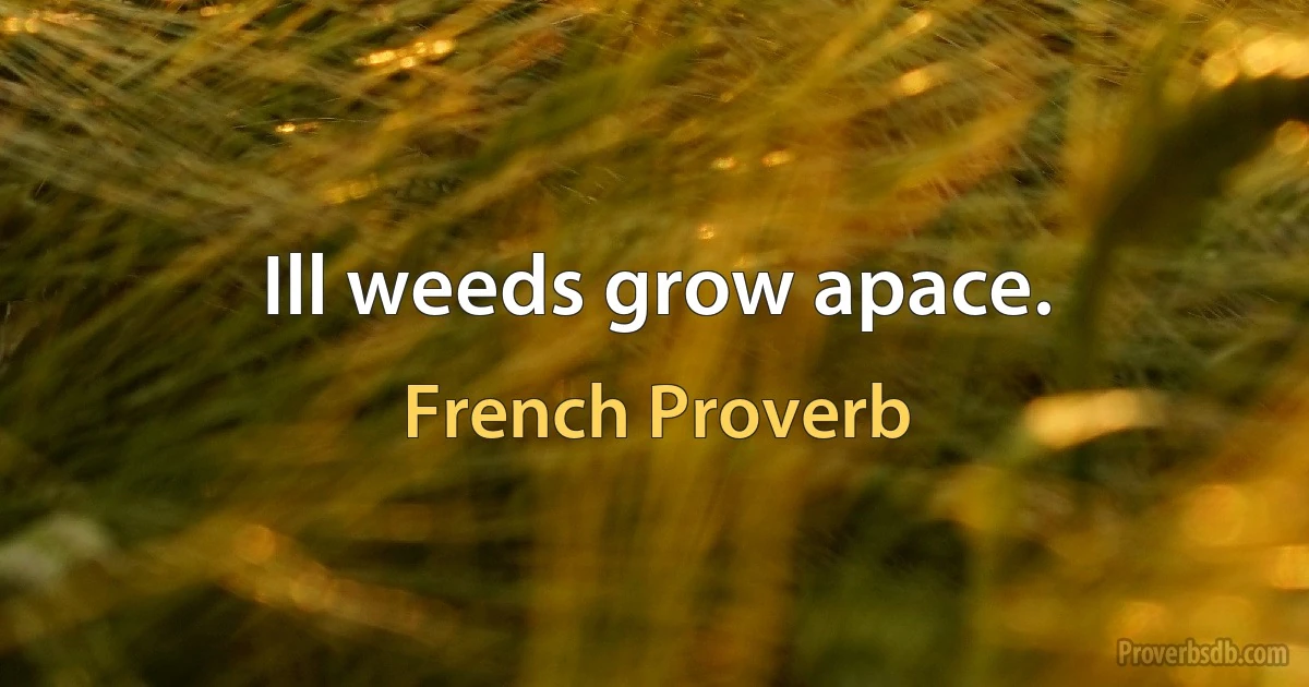 Ill weeds grow apace. (French Proverb)