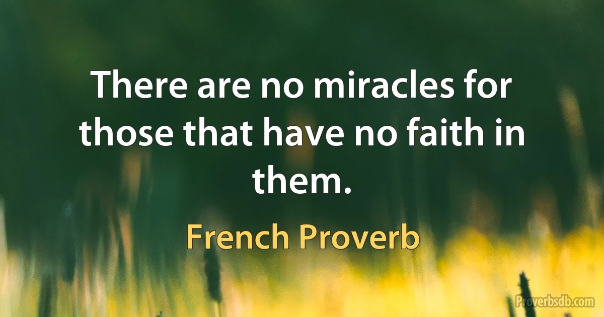 There are no miracles for those that have no faith in them. (French Proverb)