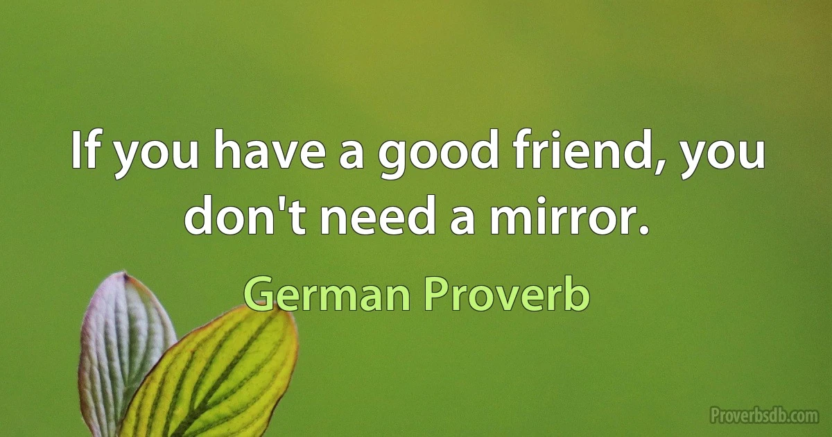 If you have a good friend, you don't need a mirror. (German Proverb)