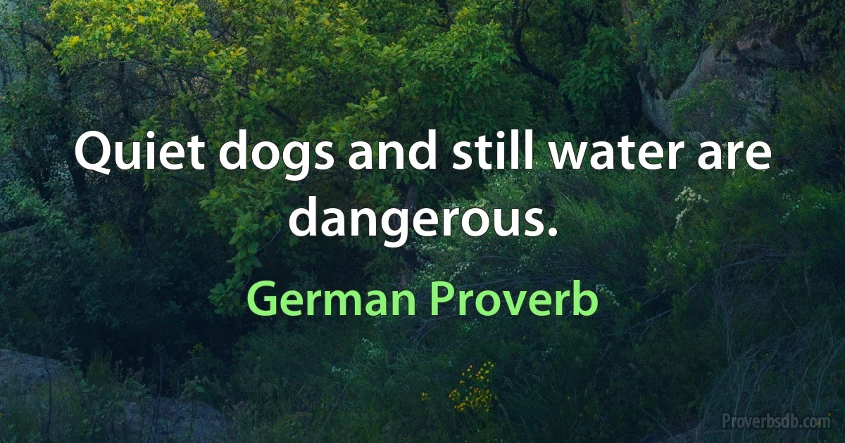 Quiet dogs and still water are dangerous. (German Proverb)