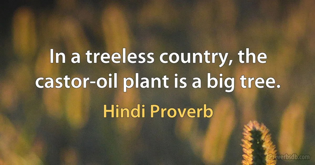 In a treeless country, the castor-oil plant is a big tree. (Hindi Proverb)