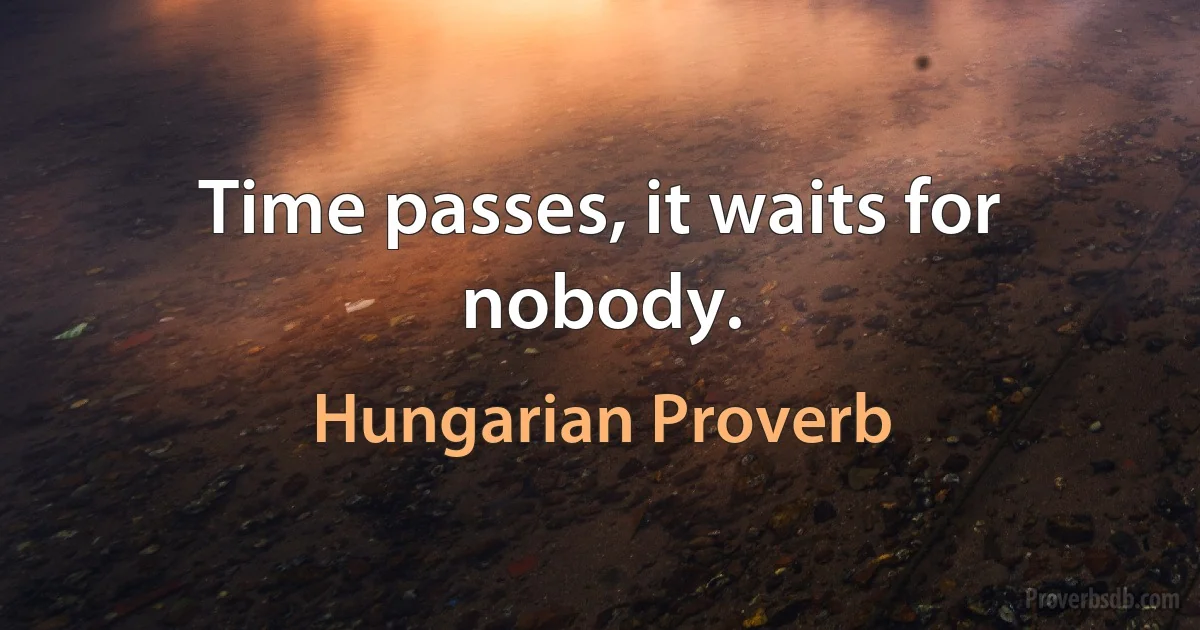 Time passes, it waits for nobody. (Hungarian Proverb)