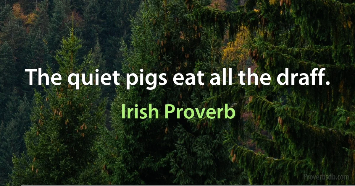 The quiet pigs eat all the draff. (Irish Proverb)