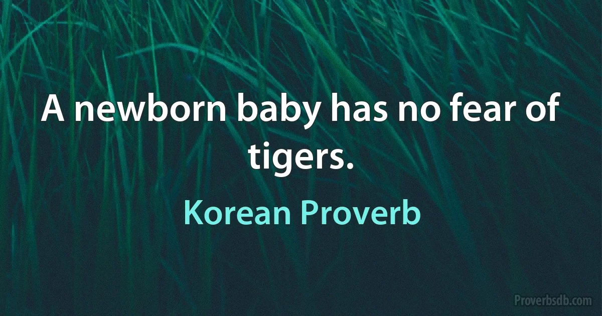 A newborn baby has no fear of tigers. (Korean Proverb)